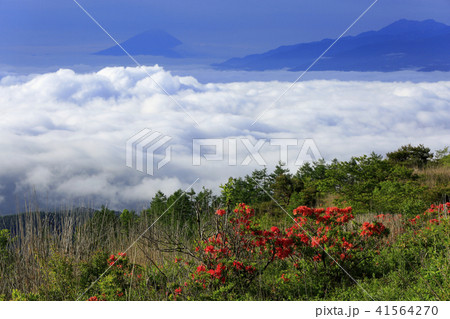 雲海と富士山 41564270