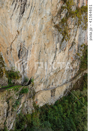 インカ道 41564601