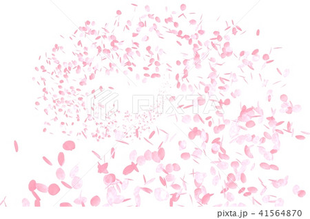 桜 サクラの花びらが舞うのイラスト素材