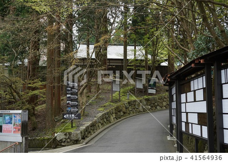 比叡山延暦寺-3 比叡山延暦寺-3 41564936