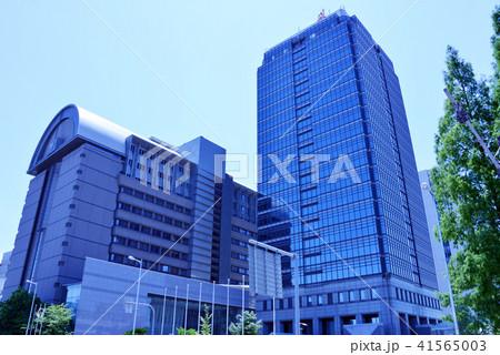 堺市役所 41565003