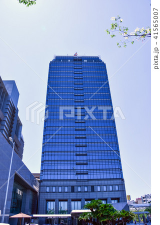 堺市役所 堺市役所 41565007