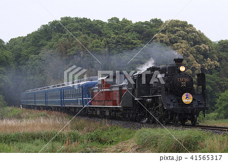 雨走行のさよならC56形蒸気機関車牽引ＳＬやまぐち号 41565317