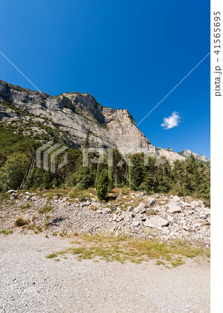 Forest and Mountains Sarca Valley - Trentino Italy 41565695