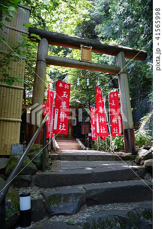 5月の箱根町の玉簾神社 5月の箱根町の玉簾神社 41565998