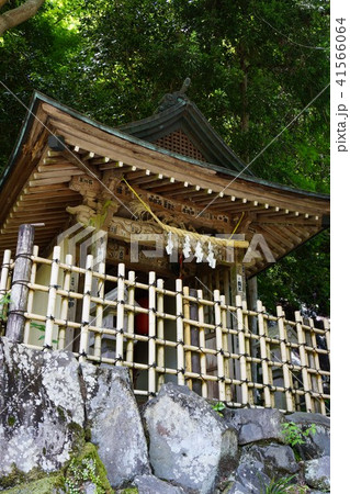 5月の箱根町の玉簾神社周辺 41566064