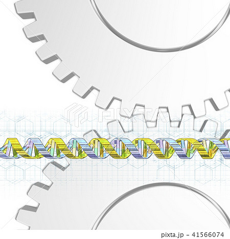 DNA遺伝子配列のイメージ DNA遺伝子配列のイメージ 41566074