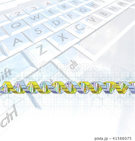 DNA遺伝子配列のイメージ 41566075