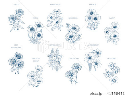 これまでで最高の花 線画 最高の花の画像