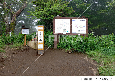 景信山山頂（高尾山～陣馬山コース） 41566517