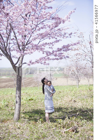 桜の下の親子 桜の下の親子 41566977