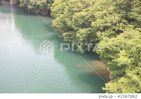 春の神通峡 笹津橋より望む 富山県富山市 県定公園 春の神通峡 笹津橋より望む 富山県富山市 県定公園 41567862