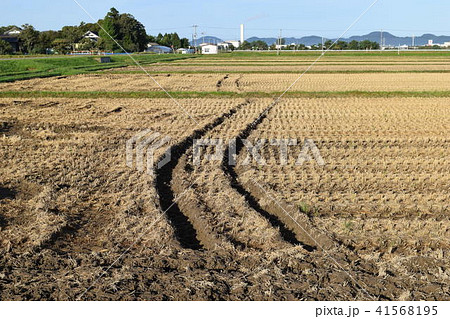 稲の収穫が終わった田園 41568195