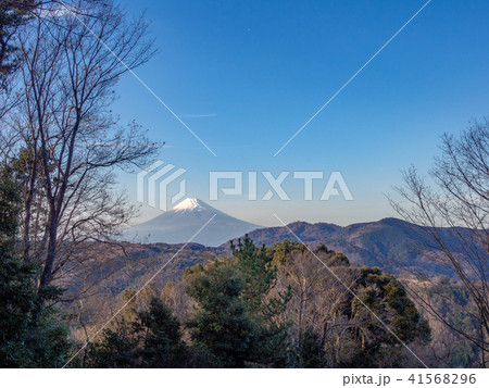 【伊豆】冬の富士山風景【修善寺もみじ林】 41568296