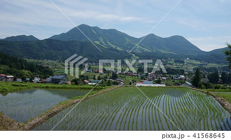 木島平村初夏 41568645