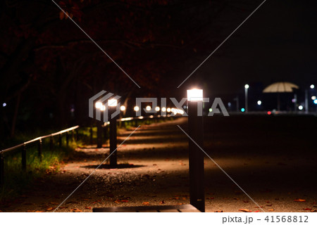 【夜景】　歩道　街灯　半田市　河川 41568812