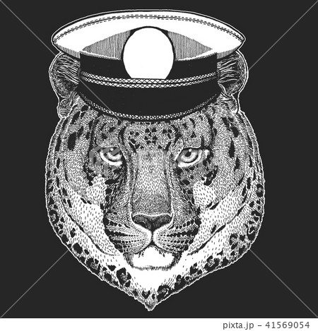 Wild cat Leopard Cat-o'-mountain Panther Vector print for children. Capitan, pirate animal. Brave 41569054