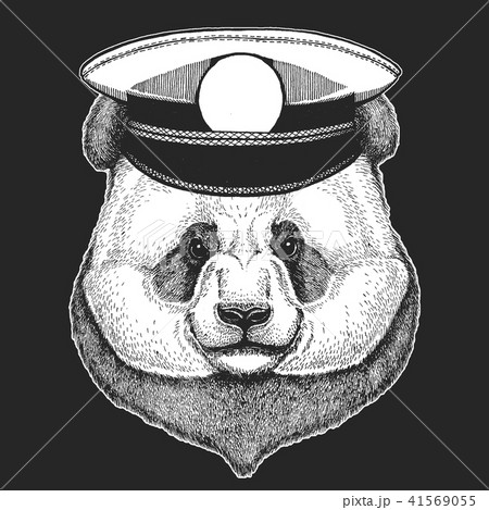 Vector print for children. Capitan, pirate animal. Brave sailor. Design for kindergarten, school 41569055