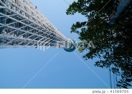 建設中の東京スカイツリー 平成22年 建設中の東京スカイツリー 平成22年 41569703