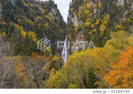 大雪山系の紅葉 41569740
