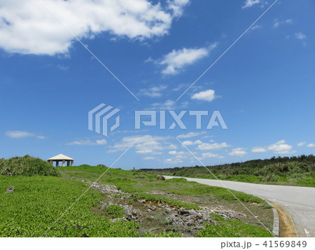 フナウサギバナタ展望台に向かう道（伊良部島） 41569849