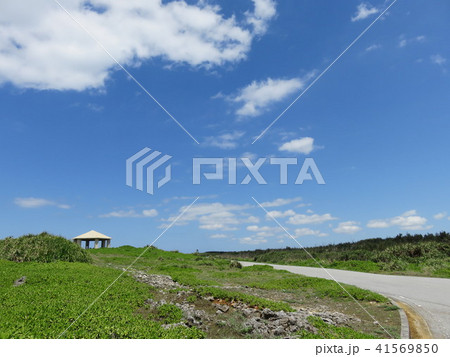 フナウサギバナタ展望台に向かう道（伊良部島） 41569850