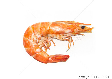 Fresh cooked shrimp on white background Fresh cooked shrimp on white background 41569951