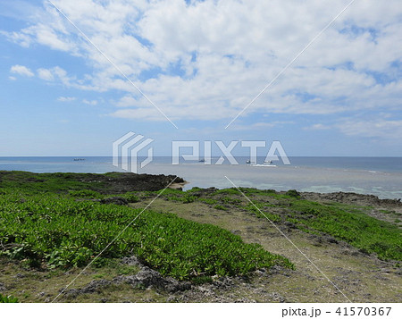 空と海(白鳥崎 西海岸公園) 空と海(白鳥崎 西海岸公園) 41570367