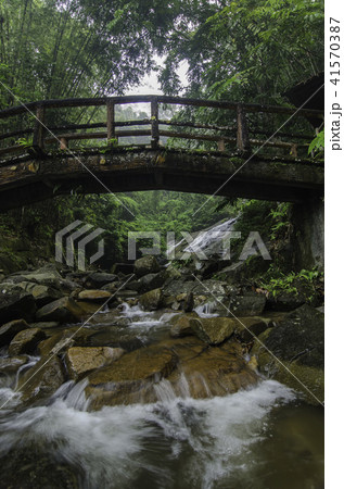 tropical river surrounded by green forest 41570387