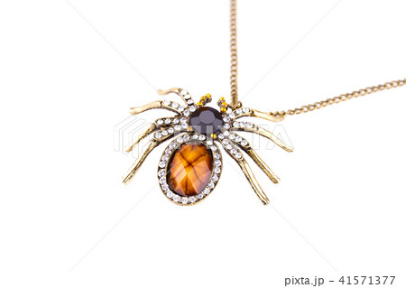 Necklace 41571377