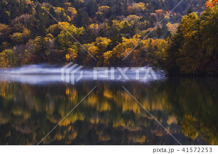 オンネトー湖　紅葉　朝霧 41572253