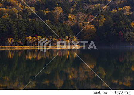 オンネトー湖　紅葉 41572255