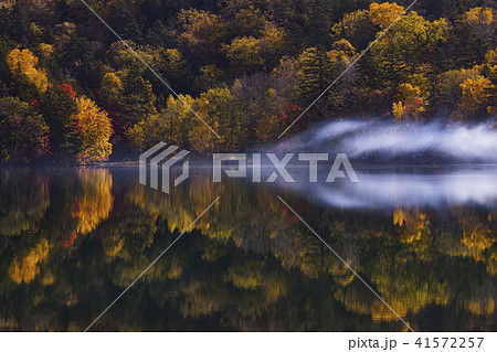 オンネトー湖　紅葉　朝霧 41572257