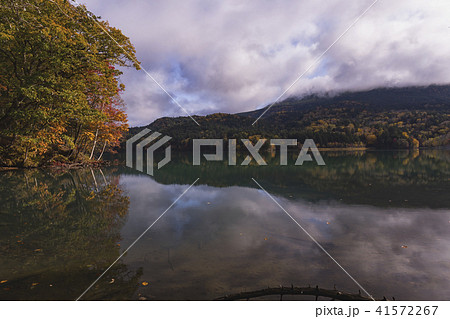オンネトー湖　紅葉 41572267