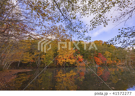 オンネトー湖 紅葉 オンネトー湖 紅葉 41572277