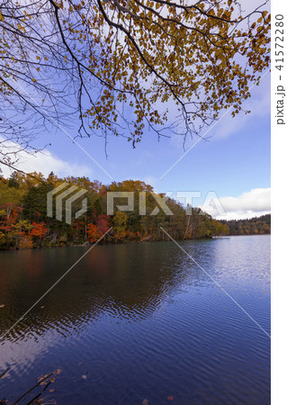 オンネトー湖 紅葉 青空 オンネトー湖 紅葉 青空 41572280