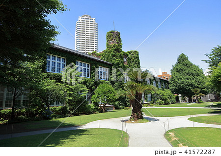立教大学　豊島区 41572287