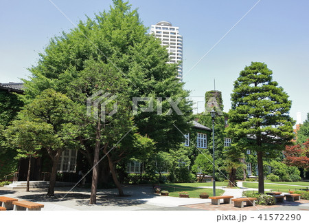 立教大学 豊島区 立教大学 豊島区 41572290