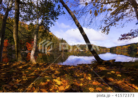 北海道 紅葉 北海道 紅葉 41572373