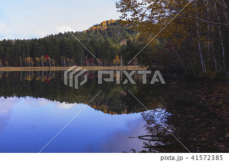 北海道 紅葉 北海道 紅葉 41572385