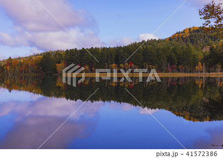 北海道　紅葉 41572386