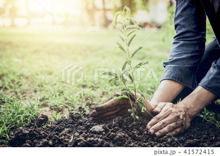 Young man planting the tree in the garden as earth day and save Young man planting the tree in the garden as earth day and save 41572415