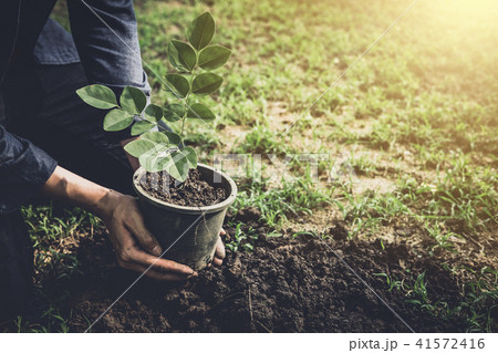 Young man planting the tree in the garden as earth day and save Young man planting the tree in the garden as earth day and save 41572416
