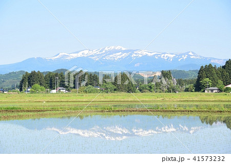 田んぼから見える栗駒山 41573232