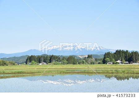 田んぼから見える栗駒山 41573233