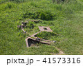 Reamains of a german Gun near Omaha Beach Normandy 41573316