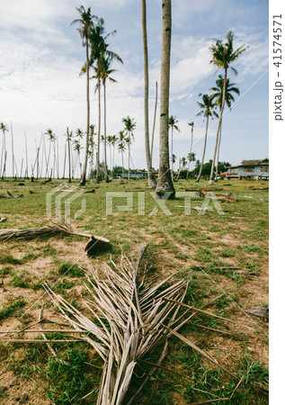 Beautiful in nature traditional fisherman village Beautiful in nature traditional fisherman village 41574571