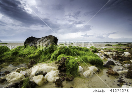 et stone covered with green moss at the beach et stone covered with green moss at the beach 41574578
