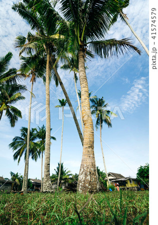 beautiful scenery traditional fisherman village beautiful scenery traditional fisherman village 41574579