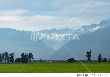 Fox Glacier South Island, New Zealand 41574929